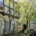 P1090003