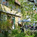 P1090005